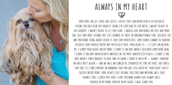 foreverinmyheartsparkle